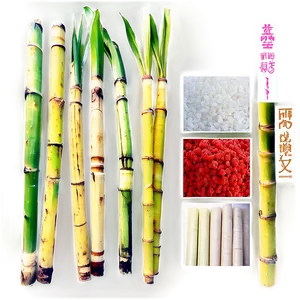 Artificially Colored Sugarcane PNG 37 PNG