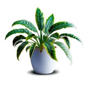 Artistic Floor Plant PNG 22 PNG