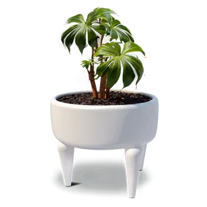Artistic Floor Plant PNG 27 PNG