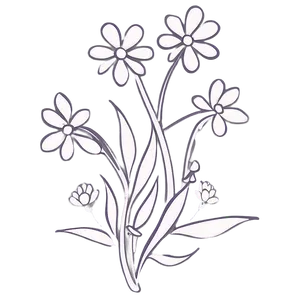Artistic Flower Outline PNG Nho PNG