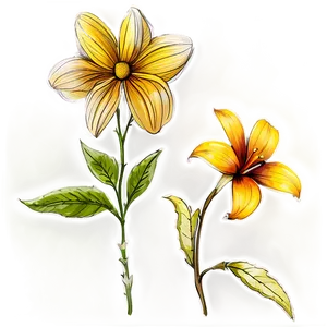 Artistic Flower Sketch Png 92 PNG image