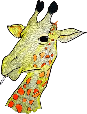 Artistic Giraffe Portrait PNG image