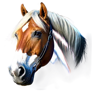 Artistic Horse Head Expression PNG Oof98 PNG