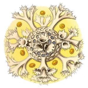 Artistic Interpretationof Bacterial Cell
