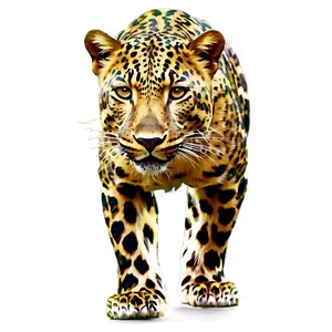 Artistic Leopard Pattern PNG Lus8