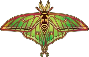 Artistic Moth Illustration PNG image