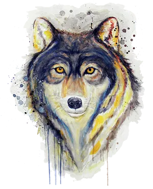 Artistic Wolf Portrait Watercolor PNG