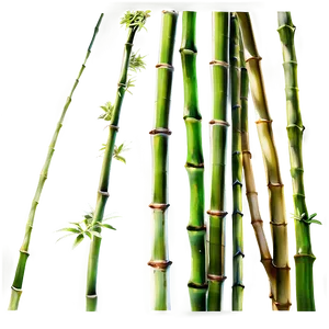 Asian Bamboo Garden Png 05232024 PNG image