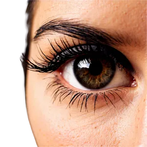Asian Eye Fake Eyelashes PNG Fpy PNG