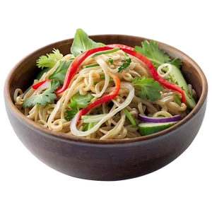 Asian Noodle Salad PNG 36
