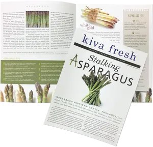 Asparagus Magazine Articles Spread PNG