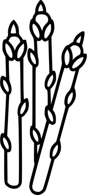 Asparagus Stalks Line Art PNG image