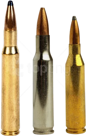 Assorted Ammunition Types PNG image