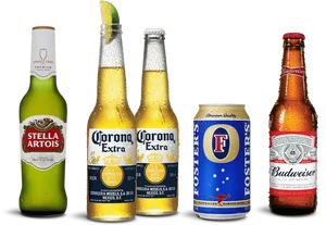 Assorted Beer Brands Lineup PNG image