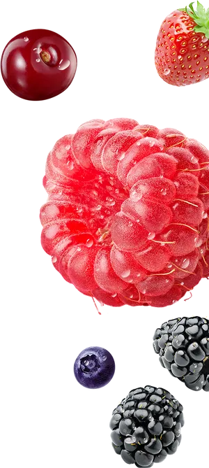Assorted Berries Floating PNG image