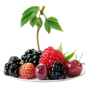 Assorted Berries Plate PNG Tuh PNG