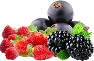 Assorted Berries Transparent Background
