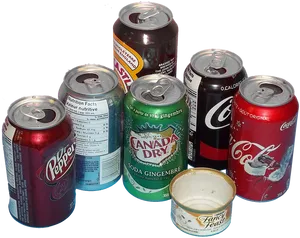 Assorted Beverage Cansand Cat Food Container