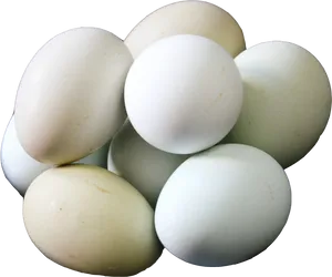 Assorted Chicken Eggs Black Background PNG image
