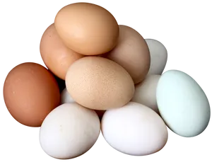 Assorted Chicken Eggs Variety PNG image