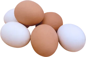 Assorted Chicken Eggson Black Background PNG image