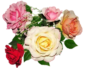Assorted_ Color_ Roses_ Bouquet