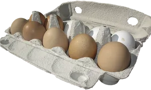 Assorted Eggsin Carton PNG image