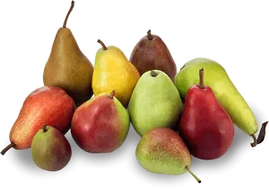 Assorted Fresh Pears Varieties PNG image