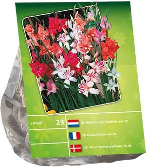 Assorted Gladiolus Bulb Packaging PNG