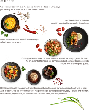 Assorted Gourmet Dishes Display PNG