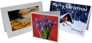 Assorted Greeting Cards Display