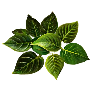 Assorted Leaves Pile Png 4 PNG image