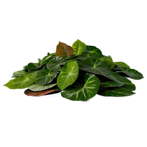 Assorted Leaves Pile Png Tqp PNG image