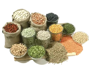 Assorted Legumesand Beans Display PNG image