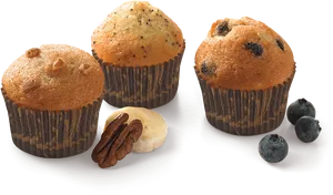Assorted Muffins Variety PNG image