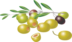 Assorted Oliveson Branch PNG image