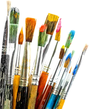 Assorted Paintbrushes Artist Tools PNG image