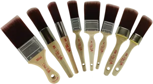 Assorted_ Paintbrushes_on_ Black_ Background.jpg PNG image