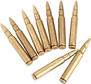 Assorted_ Rifle_ Bullets_ Isolated PNG image