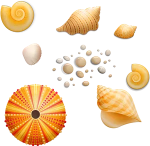 Assorted Seashellsand Sand Collection