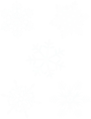Assorted Snowflake Designs PNG image