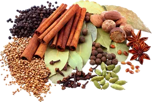 Assorted Spices Collection PNG image