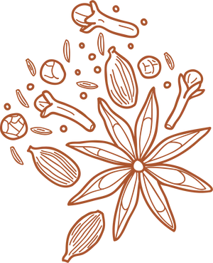 Assorted Spices Illustration