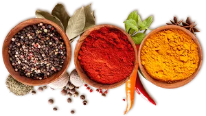 Assorted Spices Selection PNG
