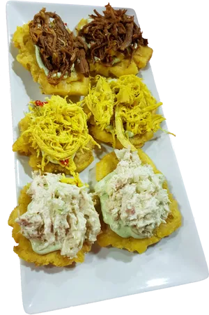 Assorted Tostones Toppings PNG image