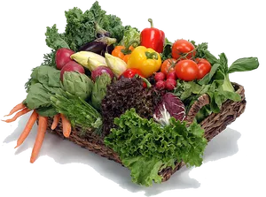 Assorted Vegetablesin Basket PNG