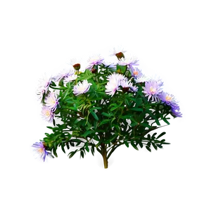 Aster Flower Bush PNG 06122024 PNG