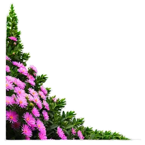 Aster Flower Bush PNG 91