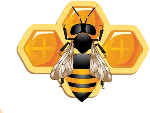 Astrological_ Bee_and_ Honeycomb_ Symbols PNG