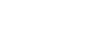 Asus R O G Logo File PNG image
